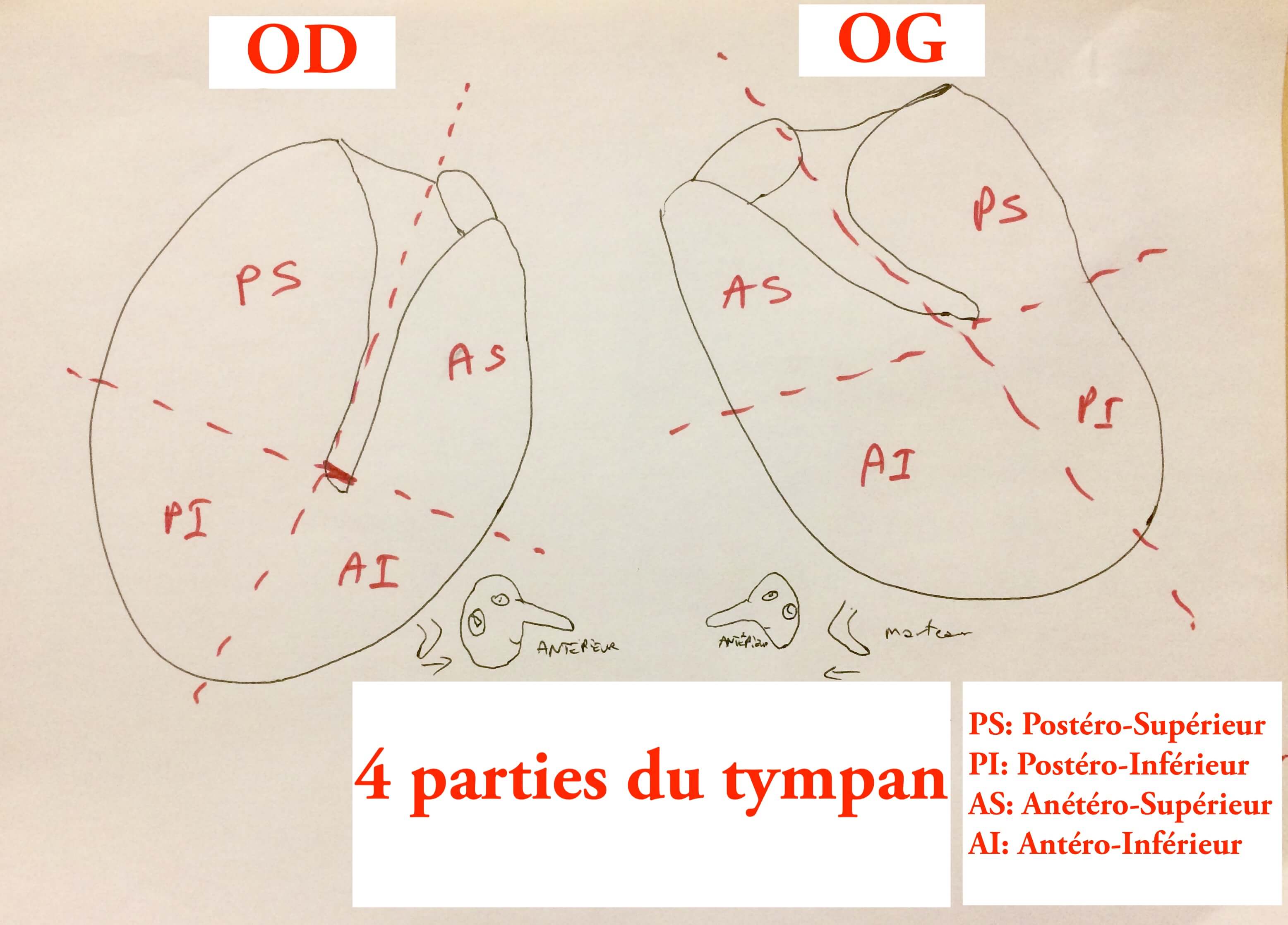 12 6 Quatre parties tympan